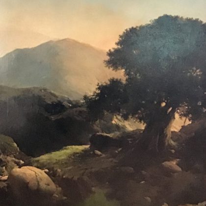 Árbore do monte de Ovidio Murguía