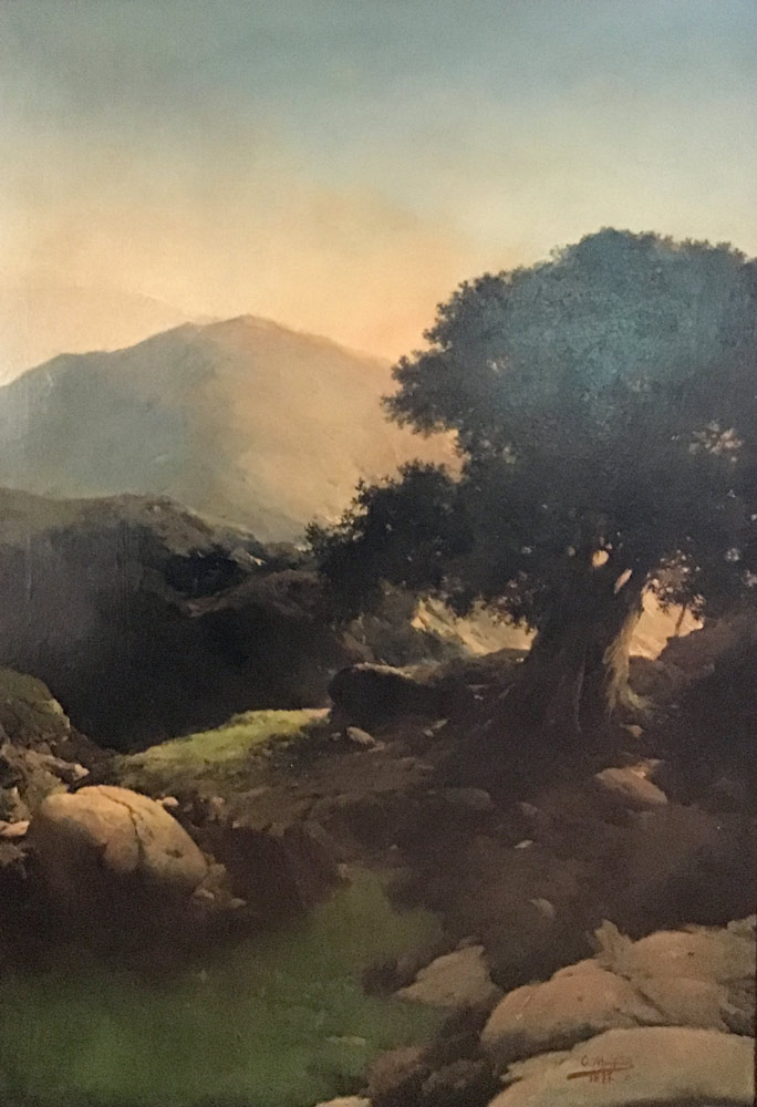 Árbore do monte de Ovidio Murguía